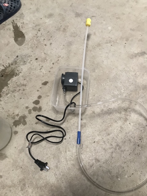 Máy rửa âm đạo heo nái  máy rửa tử cung lợn heo