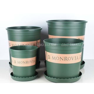 Chậu Monrovia 1GL