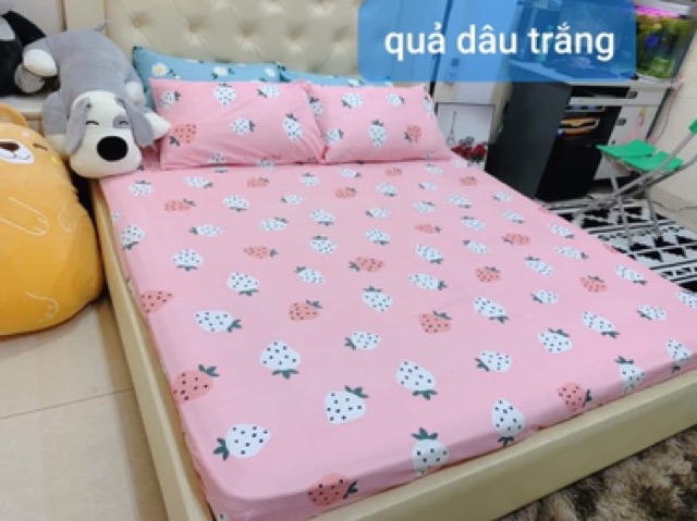 [CHỌN HÌNH-GIẢM 30K SHIP]BỘ DRAP GA GỐI POLY COTTON 3 MÓN GỒM 2 vỏ gối 1 ga chun