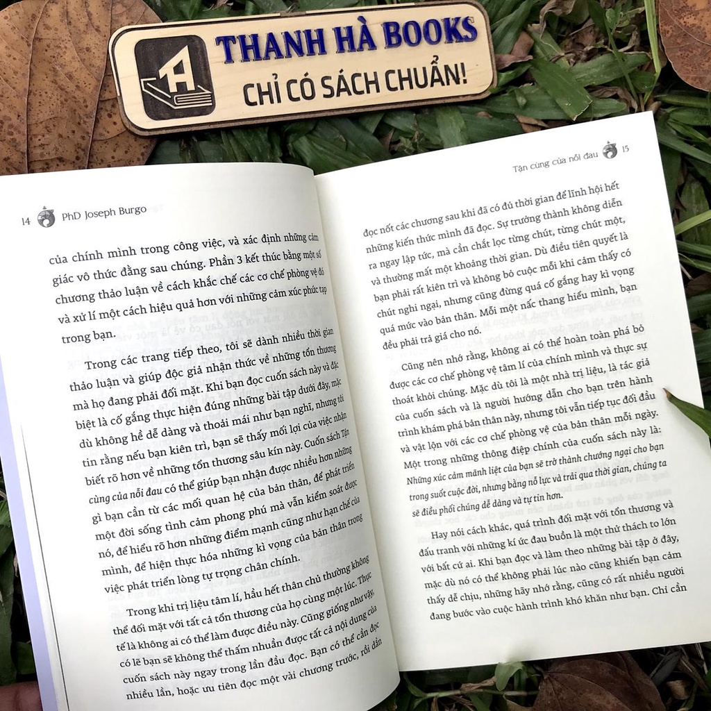 Sách -  Tận cùng của nỗi đau - Why do I do that? - Giúp bạn bước qua vực thẳm nội tâm và tự tin đích thực