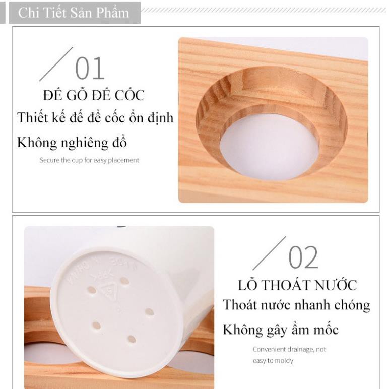 Set 3 ống đựng đũa thìa ráo nước đa năng tiện ích để bàn đế gỗ sồi tự nhiên TT-HOME