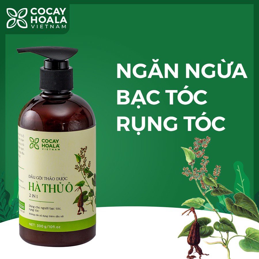 Dầu Gội Thảo Dược Hà Thủ Ô 2in1 Giảm Rụng Tóc Bạc Tóc Cocayhoala 300ml