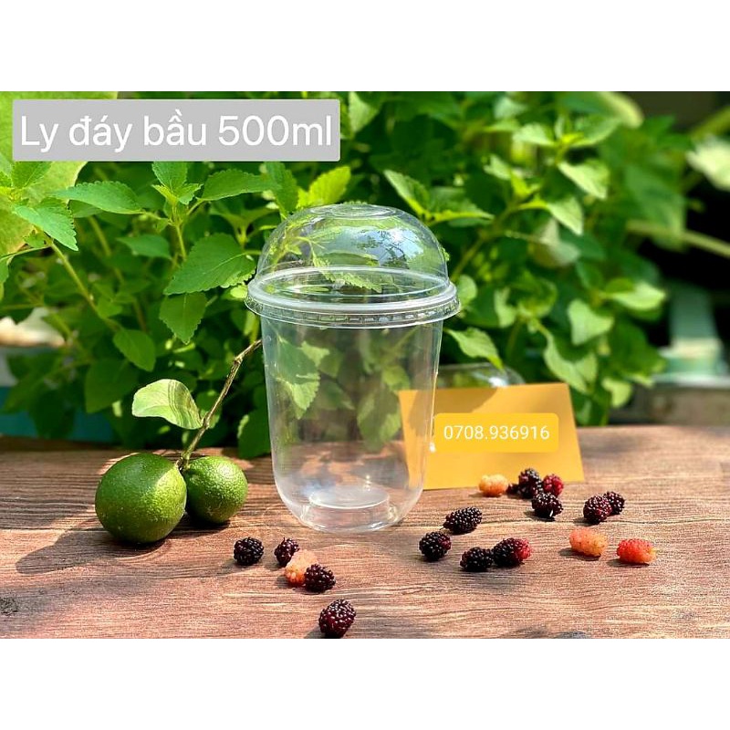 100 ly bầu 360ml_500ml_650ml