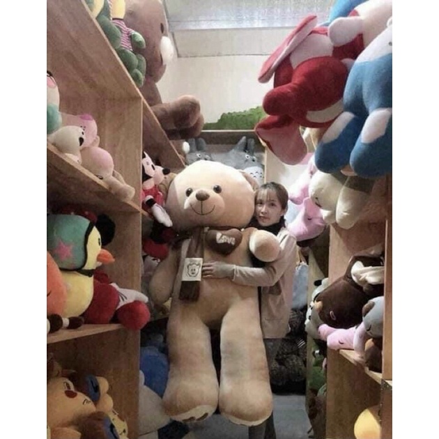 Gấu Teddy Nhồi Bông Cỡ Lớn Khăn Thêu Xinh Xắn Đáng Yêu