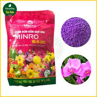 PHÂN BÓN NPK RA HOA ĐẬU TRÁI