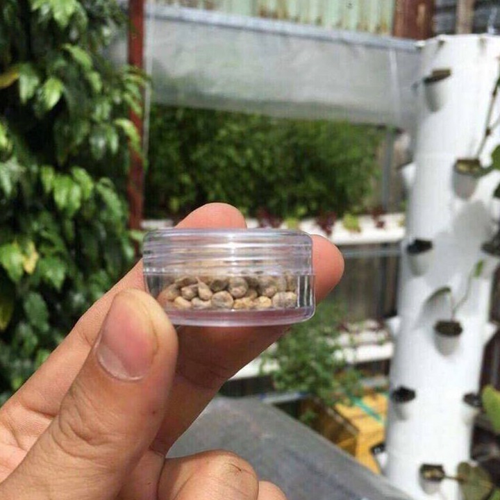 combo 20c 10gr