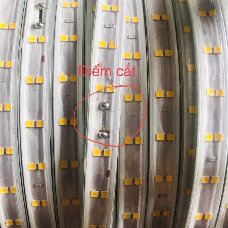 Đèn led dây quấn cây trang trí ngoài trời 220v, dây đèn led hắt trần thạch cao trang trí kín nước