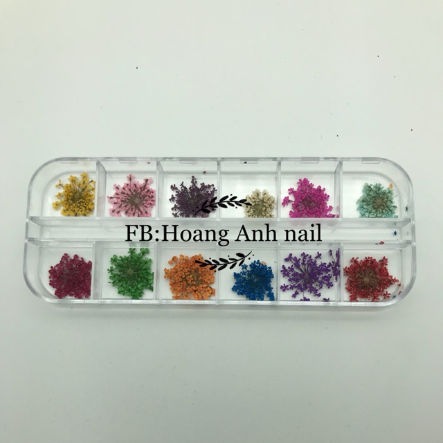 Hoa khô dán trang trí 12 màu ẩn cho móng