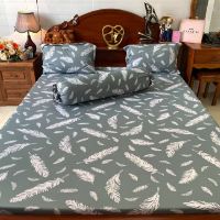 ga chống thấm cotton Su Su