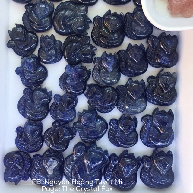 Hồ Ly Sapphire xanh biển