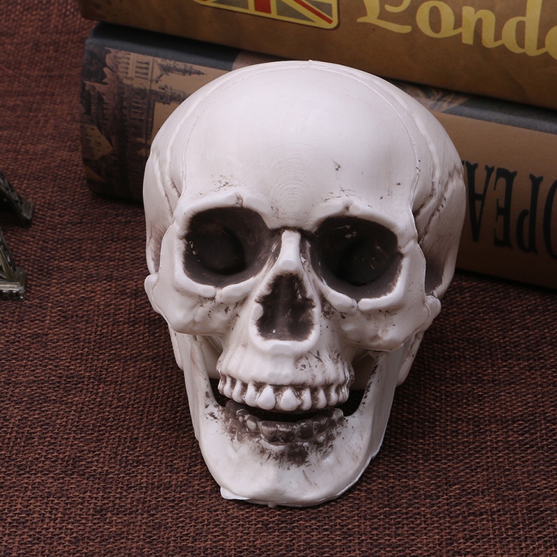 Bộ Xương Người Bằng Nhựa Mini Trang Trí Halloween