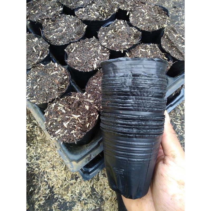 combo 10 chậu (Bầu) Ươm Cây Giống (16x14cm) (18-16) ‘