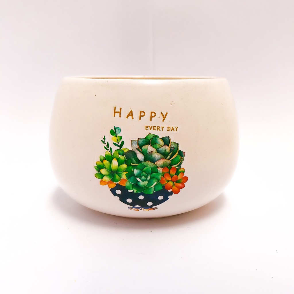 CHẬU HẠT DẺ TRỒNG SEN ĐÁ, CÂY PHONG THỦY, CÂY BONSAI MINI