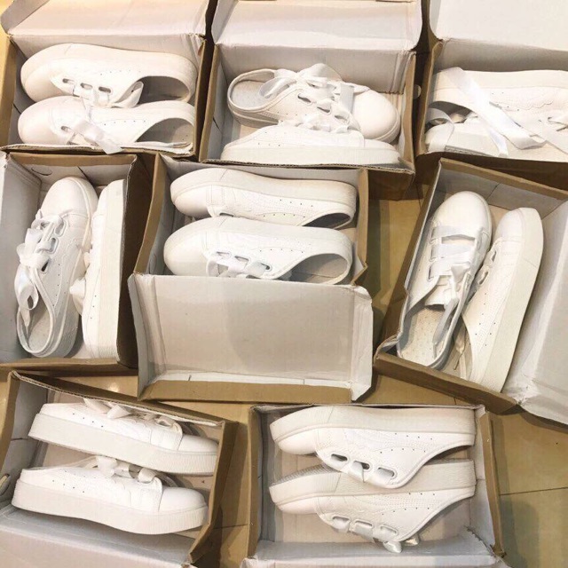 SỤC THỂ THAO HOT HIT