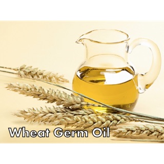 DẦU MẦM LÚA MẠCH (WHEAT GERM OIL) - 20ml