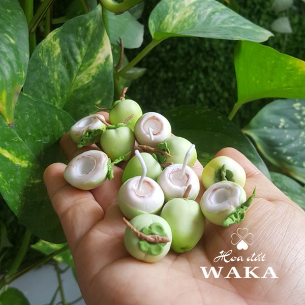 Mô hình Trái Dừa Mini - Rau Củ Quả Mini 1/12