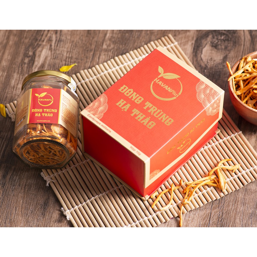 Đông Trùng Hạ Thảo sấy khô hộp 10gr | BigBuy360 - bigbuy360.vn