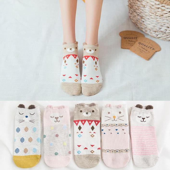 Set 5 Vớ cổ thấp dễ thương Combo 5 Tất cổ ngắn In hình 3D Cute