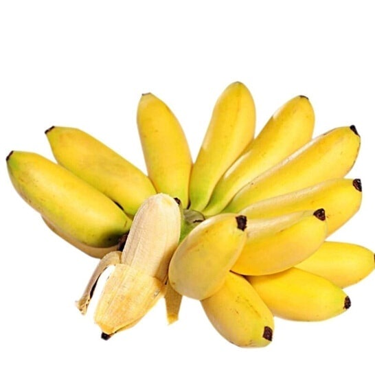 Cây giống Chuối Cau .