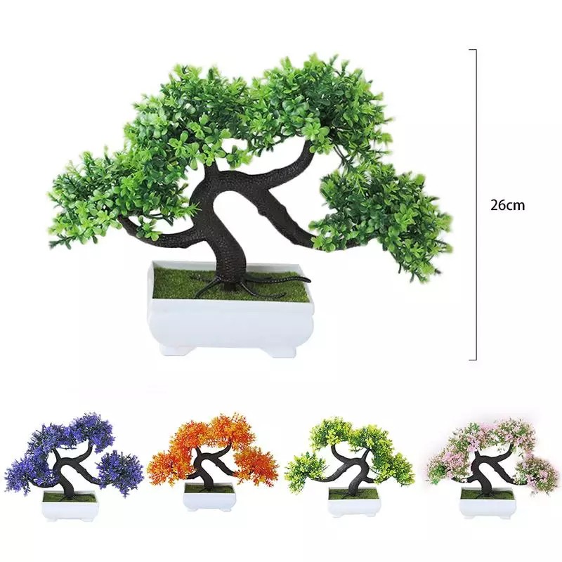 Chậu cây tùng bonsai thế phượng vũ độc đáo để bàn làm việc