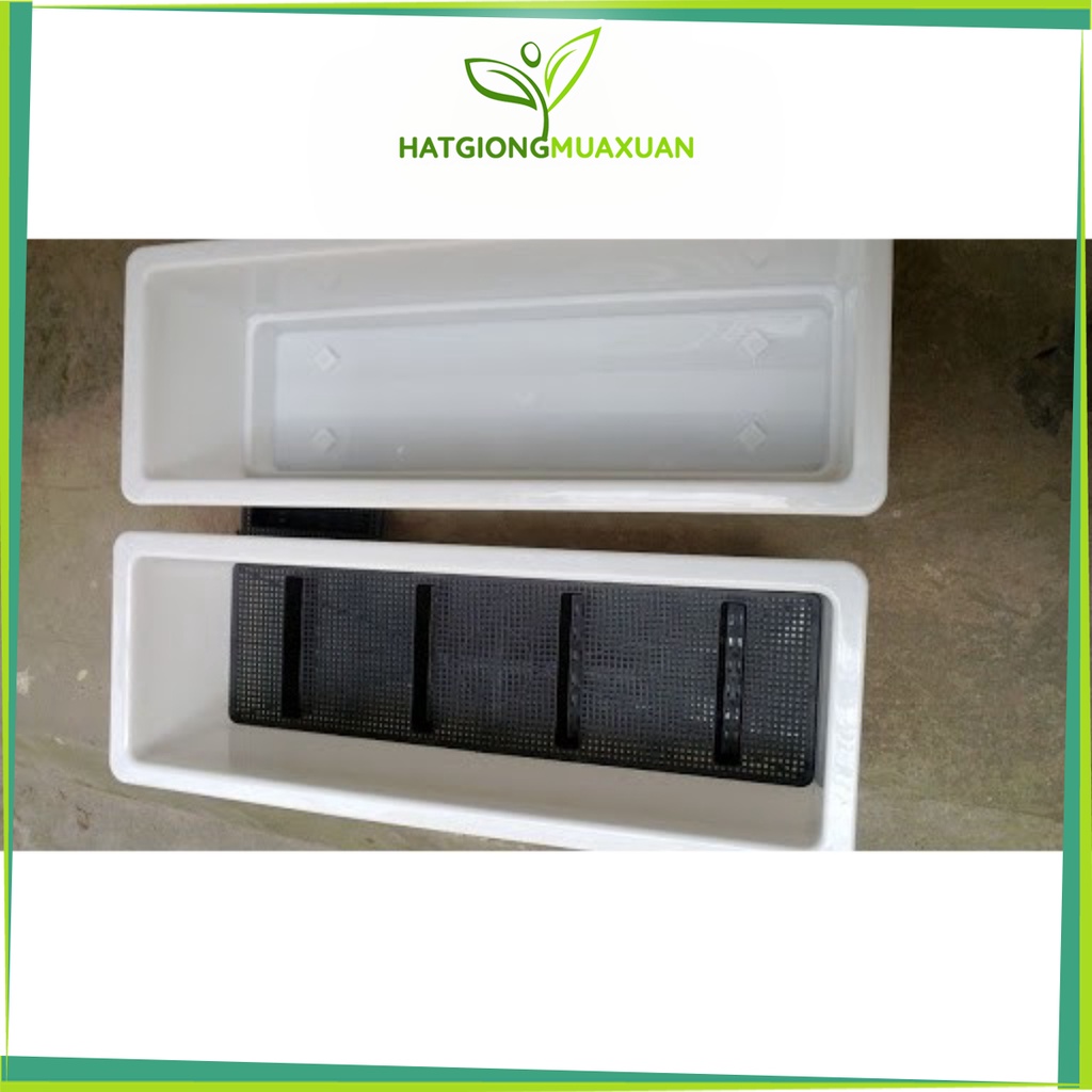 Set 04 Chậu nhựa thông minh trồng rau dài 60cm, rộng 20cm màu trắng chất liệu đẹp