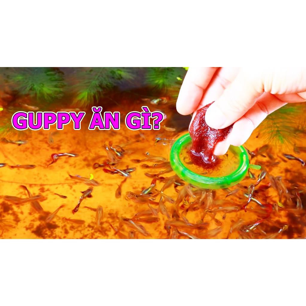 Clear master - siêu lọc nước - BETTA COFFY ☕️