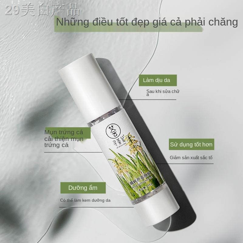 ZTìm kiếm gel lô hội chính hãng in mụn sau mặt trời sửa chữa kem dưỡng ẩm sản phẩm chăm sóc cho nam và nữ huấn luyện