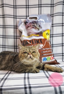 CÁT VỆ SINH CHO MÈO CATLIKE 8L