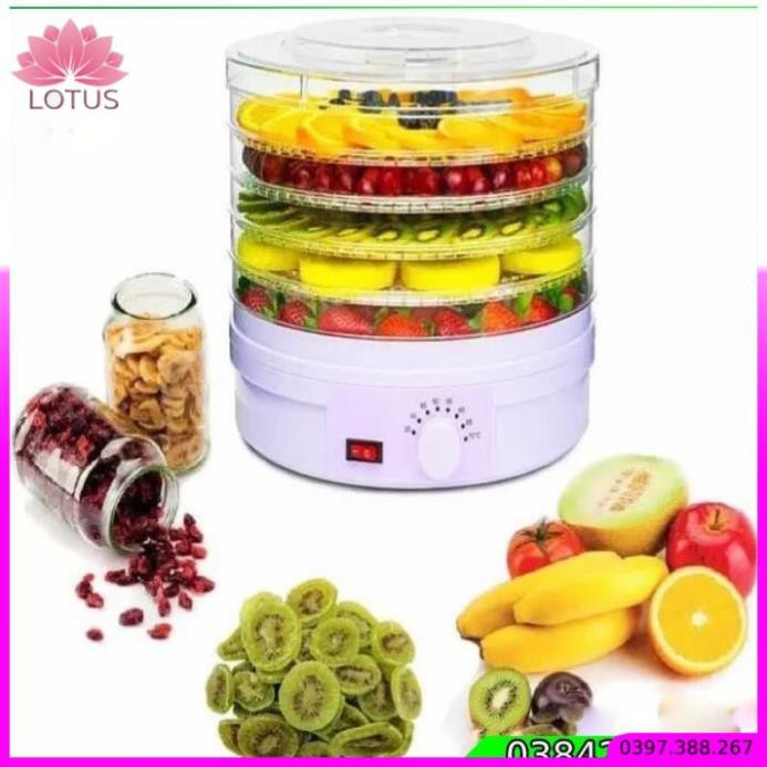Máy sấy trái cây 5 tầng trong suốt, sấy các loại hoa quả đa năng