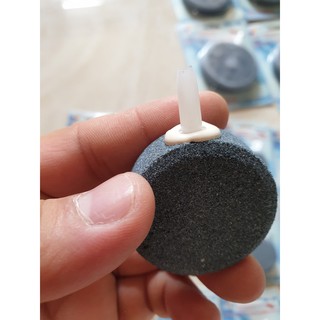 Sủi đĩa oxy siêu mịn cho hồ cá