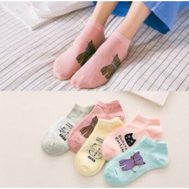 Combo 80d tất mèo như hình