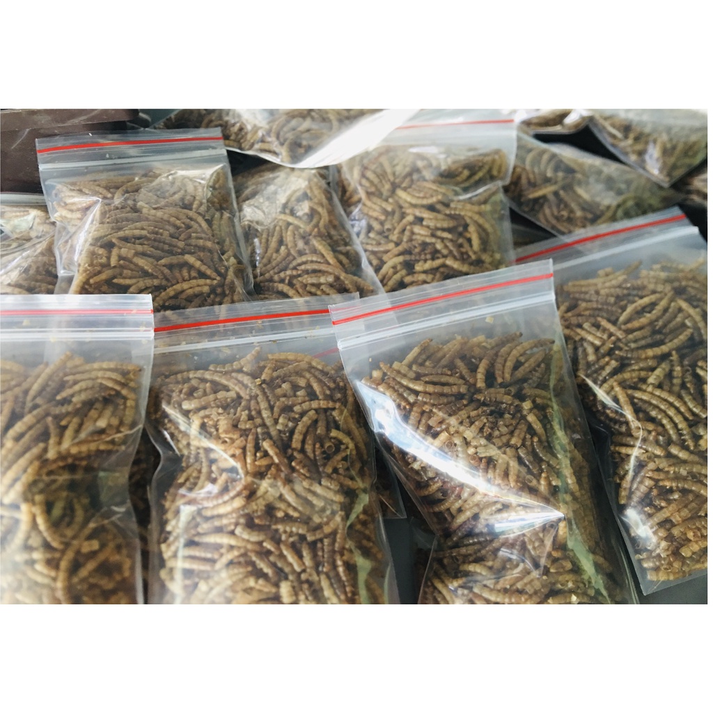 Sâu sấy bồi dưỡng hamster