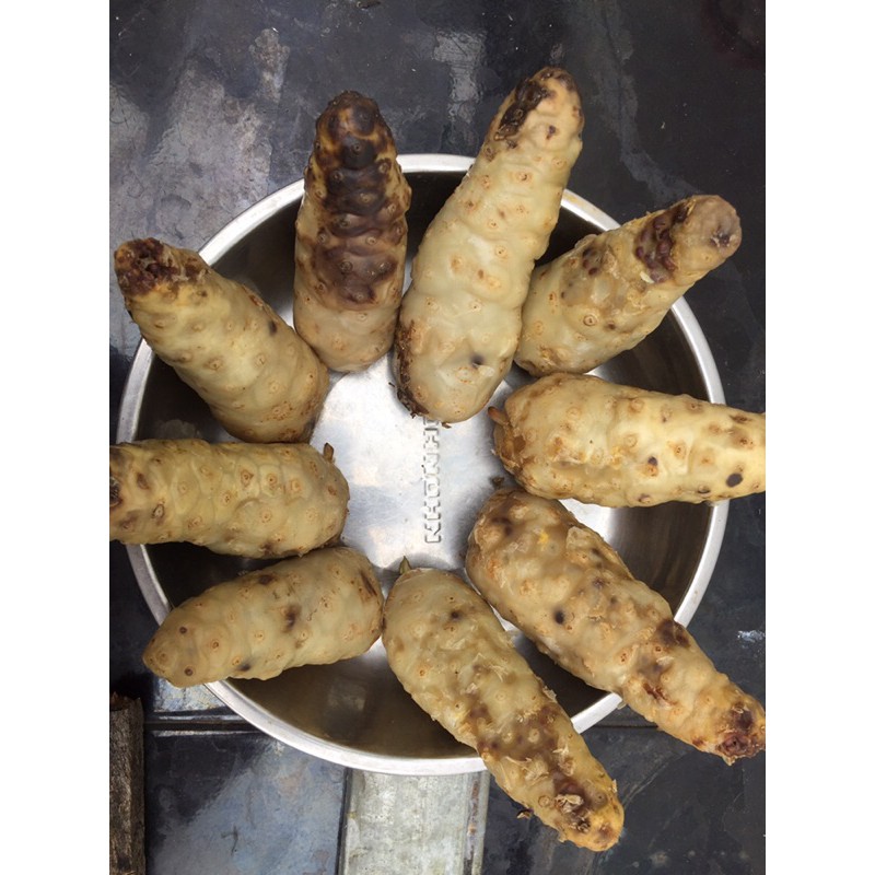 Quả nhàu 1 nắng