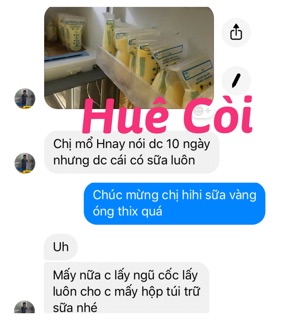 Combo 2 túi lợi sữa