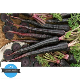 50 Hạt Giống Cà Rốt Đen Tím Black Giàu Anthocyanin