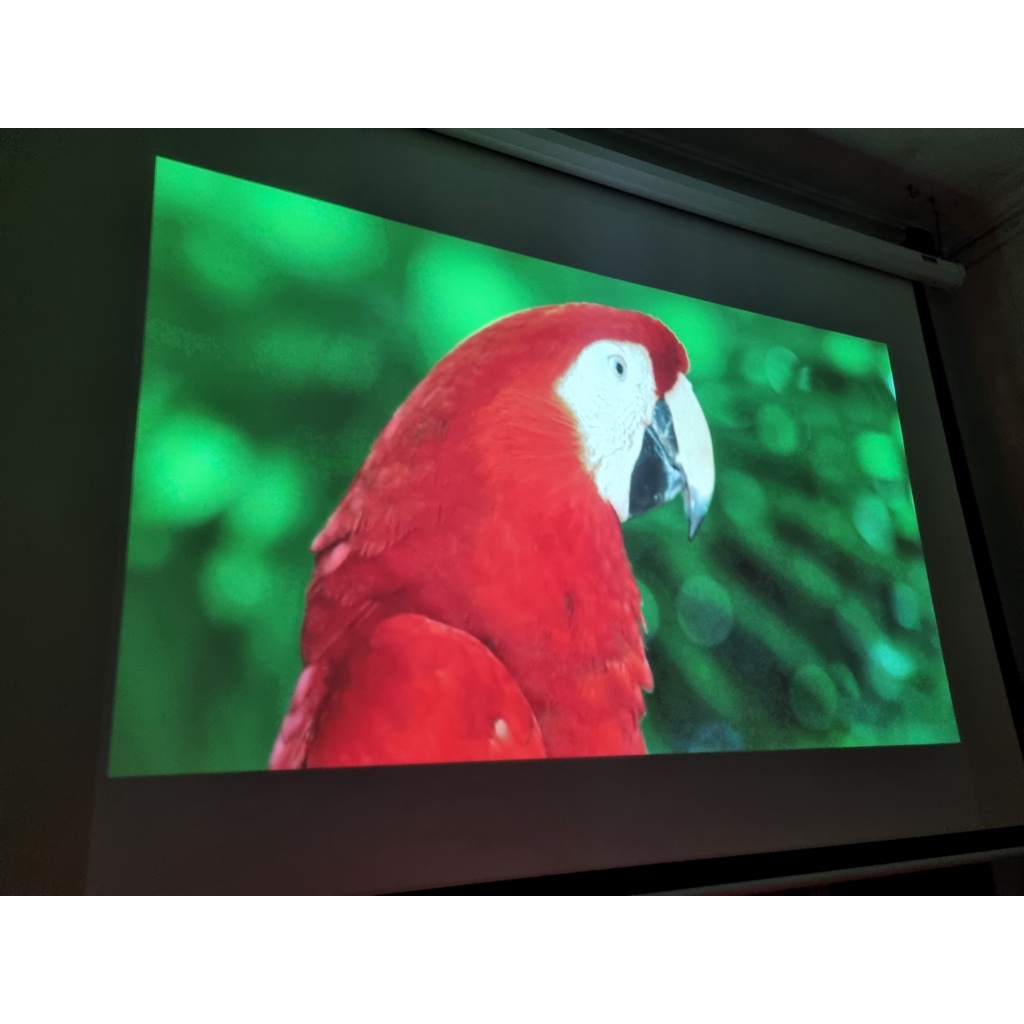 Máy Chiếu Cũ Infocus IN112X, Máy Sáng Đẹp Có Bảo Hành 3 Tháng Sản Phẩm