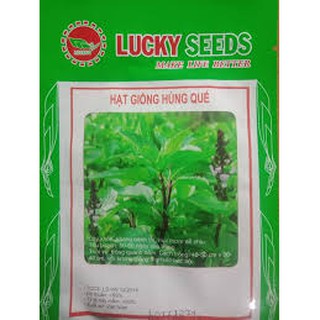Hạt giống rau húng quế (2G)