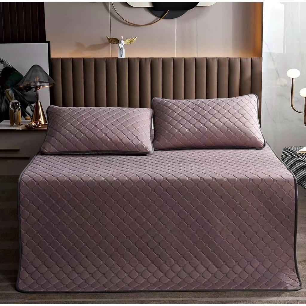 Chiếu Điều Hoà Cao Su Non Tencel Mát Lạnh_LOẠI 1_ Chiếu Cao Su Trần 3 Lớp Mềm Mịn Mẫu Mới 2022 (tặng kèm 2 vỏ gối)