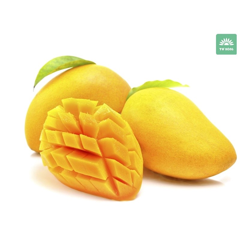 Bánh Xoài - Đặc Sản Nha Trang Hàng Xuất Khẩu