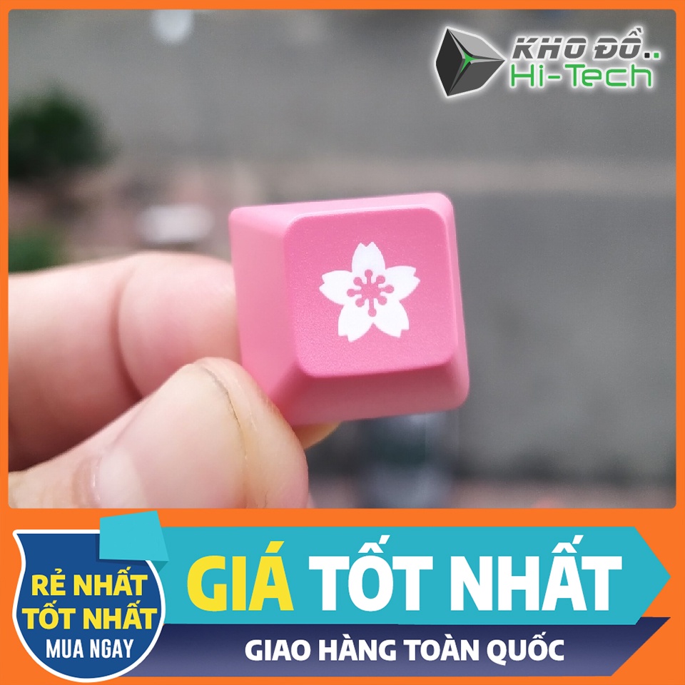 Nút keycap ASA profile lẻ 💖 𝘍𝘳𝘦𝘦𝘴𝘩𝘪𝘱 💖 Keycap Akko - ASA Profile chất lượng cao