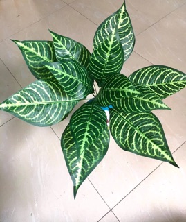 Cây giả - cây lá hoàng ngân cao cấp trang trí sự kiện