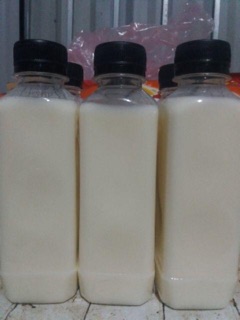 100 chai pet vuông 250 mL