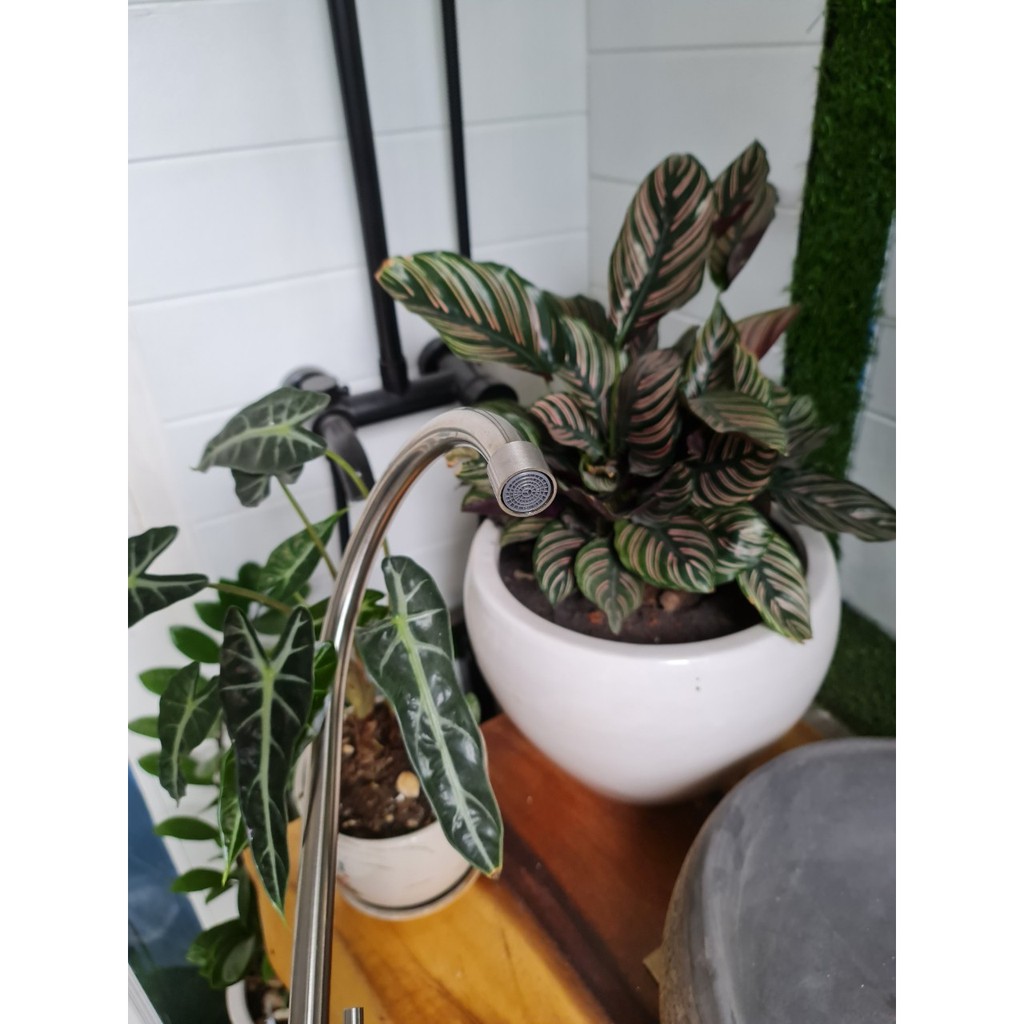 Vòi rửa chén lạnh inox 304 PRIMA