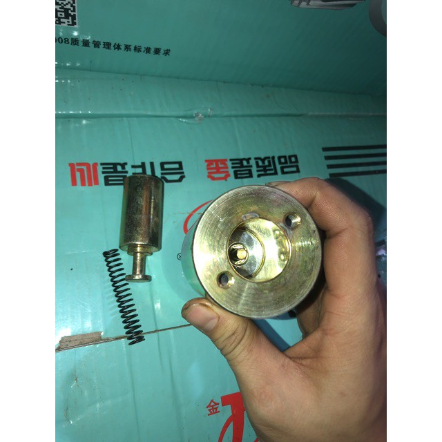 Chuột đề lai 12v 24v