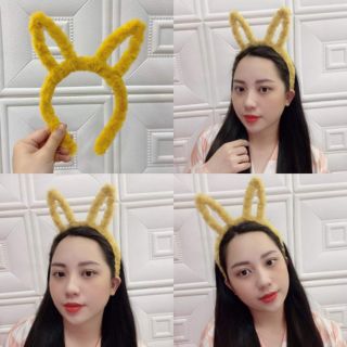 BĂNG ĐÔ TAI THỎ