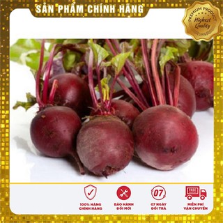 Bộ gói hạt giống Củ dền