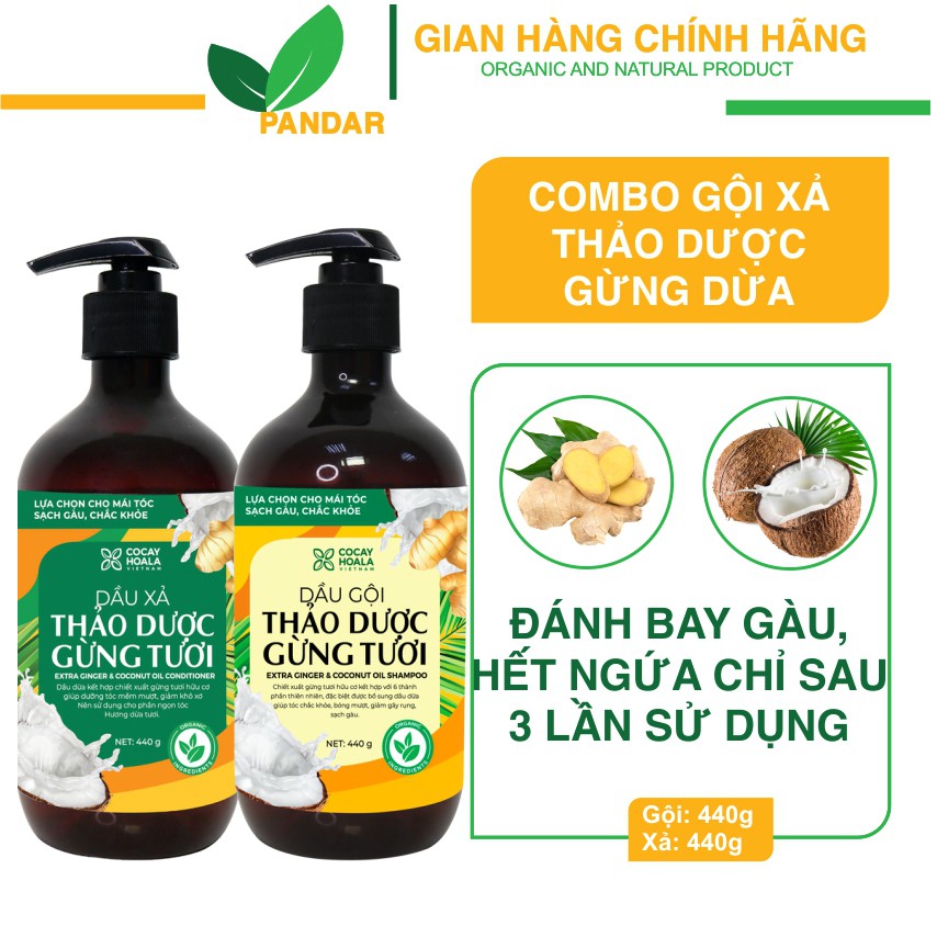 Dầu gội xả thảo dược gừng dừa cỏ cây hoa lá, đánh bay gàu, giảm nấm ngứa chỉ sau 3 lần sử dụng, PANDAR