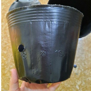 Chậu nhựa dẻo ươm cây 18x16
