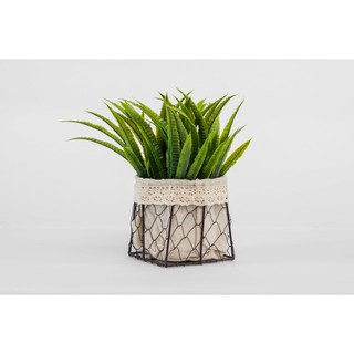 Chậu cây giả, hoa giả trang trí EGON - đẹp, cao cấp, giá rẻ - để bàn phòng khách, phòng làm việc - MAGNUM