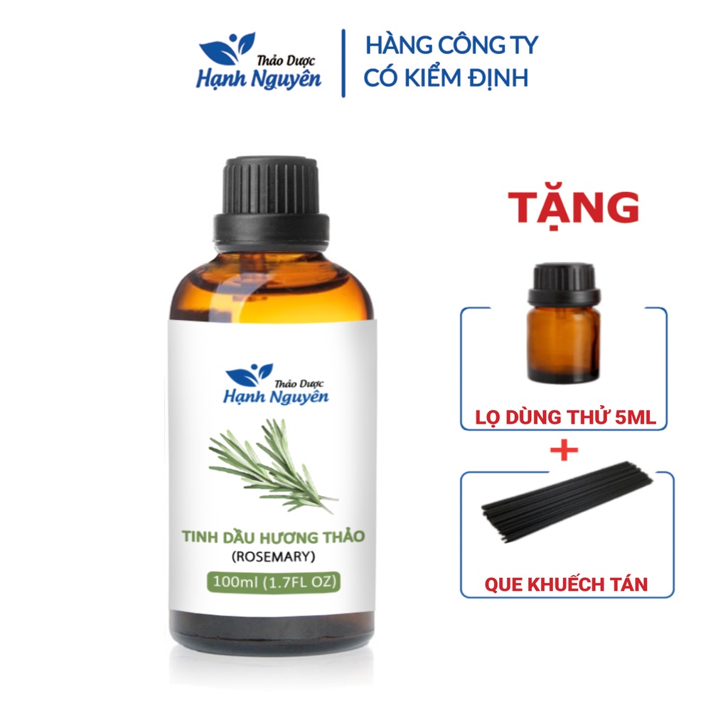 Tinh dầu Hương Thảo 100ml, tăng cường trí nhớ, hương nước hoa thiên nhiên, thơm phòng - Thảo dược Hạnh Nguyên